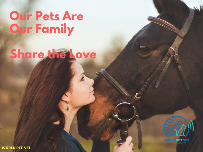 register breeding and stud animals - WORLDPETNET - our pets are our family